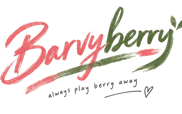 BARVYBERRY — always play berry away